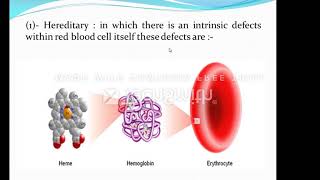 محاضره مرحلة ثانيه hemolytic anemia [upl. by Tennies]