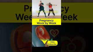 Pregnancy Week By Week 1 Trimester [upl. by Dnalrah534]