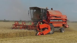 Mähdrescher DeutzFahr M1322 Weizenernte bei Meldorf [upl. by Drobman]