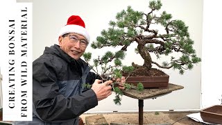 How to think when making Bonsai [upl. by Ietta]