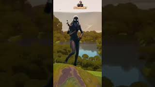 Melhores Combos Fortnite  DIRETORADO CAOS fortnitecombos shorts [upl. by Hamnet611]