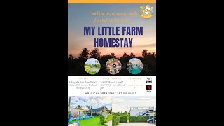 My Little Farm Homestay Accommodation [upl. by Nine]