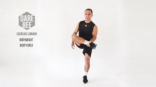 Exercise Library Bodyweight Bicep Curls [upl. by Datnow682]