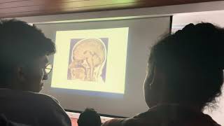 Neuroanatomia funcional 1 [upl. by Sutit]