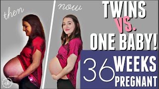 TWINS VS ONE BABY Comparing my Pregnancies  WEEK 36 UPDATE [upl. by Angus]