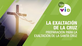 La exaltación de la Cruz Una tradición latinoamericana Padre Fredy Córdoba  Tele VID [upl. by Yelram]