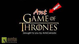 Ant Game of Thrones [upl. by Granville]