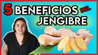 5 BENEFICIOS y PROPIEDADES del JENGIBRE para tu SALUD  ¡El jengibre lo CURA todo [upl. by Graubert]