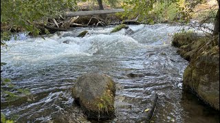 creek sounds for study 4 hours [upl. by Ahsenak144]