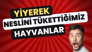 YİYEREK NESLİNİ TÜKETTİĞİMİZ HAYVANLAR [upl. by Meagan]