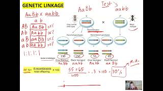 Genetics Unit Gene Linkage Recombination Frequency and Application of Chi Square test [upl. by Yttam]