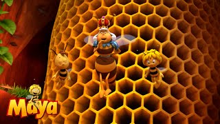 Maya the Bee 2012 Theme Song  OneLine Multilanguage Requested [upl. by Adlemi]