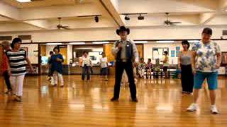 Flying High  Line Dance  With Music [upl. by Eet]