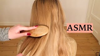 ASMR 1 HOUR HAIR BRUSHING COMPILATION NO TALKING [upl. by Mairam266]