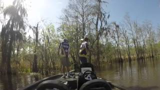 Louisiana Bass Fishing in Springtime [upl. by Ermentrude]