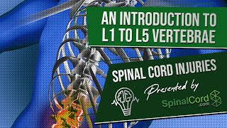 Surgical Treatment For Lumbar Spinal Stenosis Part 2 [upl. by Carothers]