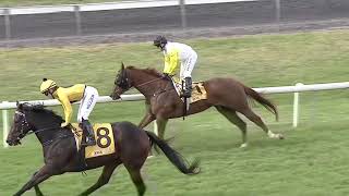 Armidale 25 04 2024 Race 2 [upl. by Noside]