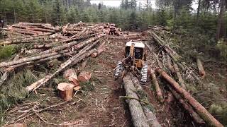 Falling and Logging Trees Skidding Processing and Loading Drone View [upl. by Nanji623]