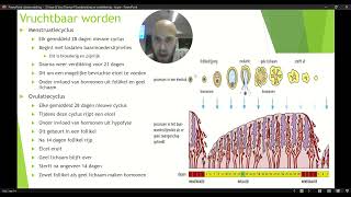 VWO 3 Thema 4 Voortplanting en Seksualiteit Basisstof 3 Vruchtbaar worden Deel 2 [upl. by Downes]