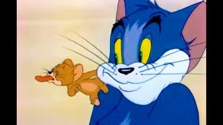 Tom and Jerry  Sufferin Cats [upl. by Aciretnahs]