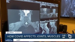 InDepth How COVID19 affects joints muscles [upl. by Diaz81]