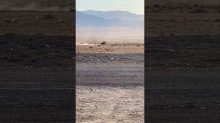 Sierra Nevada mexico usa horse shortvideo nevada utah rodeo desert running [upl. by Lanae674]