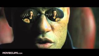 Blue Pill or Red Pill The Matrix 2 9 Movie CLIP 1999 HD0 [upl. by Grantland536]