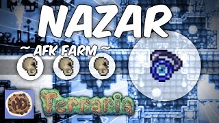 Terraria 13 AFK Dungeon Nazar Farm  Ankh Charm Series 3 [upl. by Hurlee]