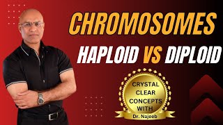 Basics of Chromatids  Haploid vs Diploid Chromosomes🦠 [upl. by Patten]