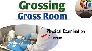 Grossing And Gross Room ll Histopathology in Hindi [upl. by Seely]