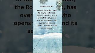 Journey of faith and spiritual growth  Revelation 55 Daily Bible Verse [upl. by Vatsug763]