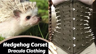 HEDGEHOG CORSET REVIEW Dracula Clothing  Lucys Corsetry [upl. by Hanus983]