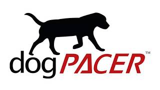 DogPacer für Sporthunde [upl. by Tati]