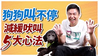 在家叫！出門也叫！狗狗總是叫不停！？減緩吠叫5大心法 How to Stop Dog Barking｜熊爸估狗 [upl. by Assila]