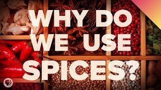 The Surprising Reason We Eat Spicy Food [upl. by Earleen]