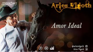 Amor Ideal  Aries Vigoth Video Lyric Oficial [upl. by Jump]