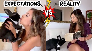 Life with a Bunny Reality Vs Expectations [upl. by Sheedy]