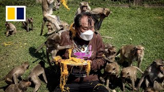 Monkey feast in Thailand [upl. by Ennovihs]