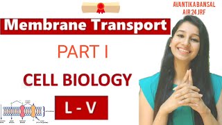 Membrane TransportFacilitated DiffusionActive TransportCarrier and Channel ProteinCell Biology [upl. by Cassey]