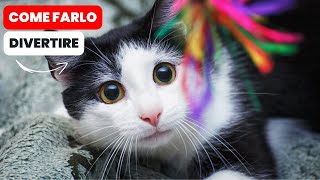 I Migliori Giochi per il Tuo Gatto [upl. by Tenay]