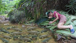 Homeless Life  Orphan Girl Finds and Catches Fish To Sell  Green Forest Survival Free Bushcraft [upl. by Chee]