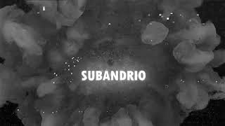 Subandrio  REVOLUTİON Live Performance [upl. by Goebel772]