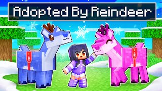 Adopted By Friendly REINDEER In Minecraft [upl. by Tansy935]