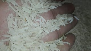 RICE SELA ECONOMY PAK 25kg WHOLESALE PRICE IN PAKISTAN 2024INCREASES RATE LIST INFORMATION CHAWAL [upl. by Salina]