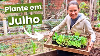 O que Plantar em JULHO de 2024📅 Calendário de Plantio 🌱 Horta no Quintal 💚 [upl. by Immac]