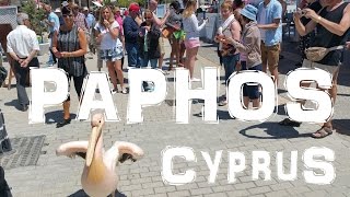 Attractions and Things To Do at Paphos [upl. by Licko]