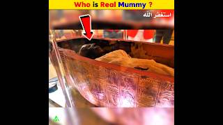 Who is Pharaoh Real Mummy  Arslan Speaks shortsfeed amazingfacts pharoah real mummy [upl. by Nylcoj]