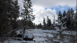 Disturbing Bigfoot Encounter of Sasquatch Pursuing Wolves [upl. by Karp728]