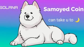 Missed Shiba Inu Dont miss samoyed Coin on Solana Blockchain [upl. by Amand]