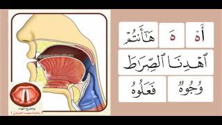 Practicing the letters همزة amp ها [upl. by Goldenberg]